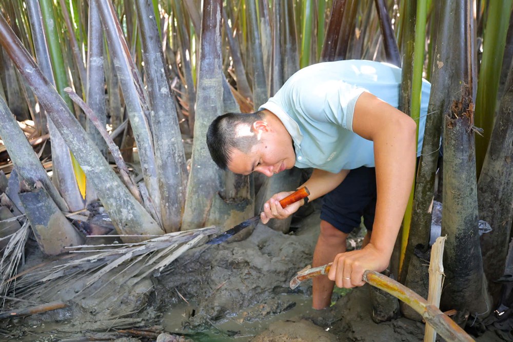 “Mật ngọt” giữa rừng dừa nước xứ Quảng - ảnh 3